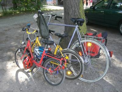 Ein Fest für die ganze Familie