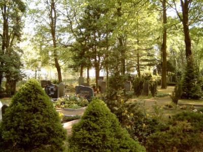 Friedhof